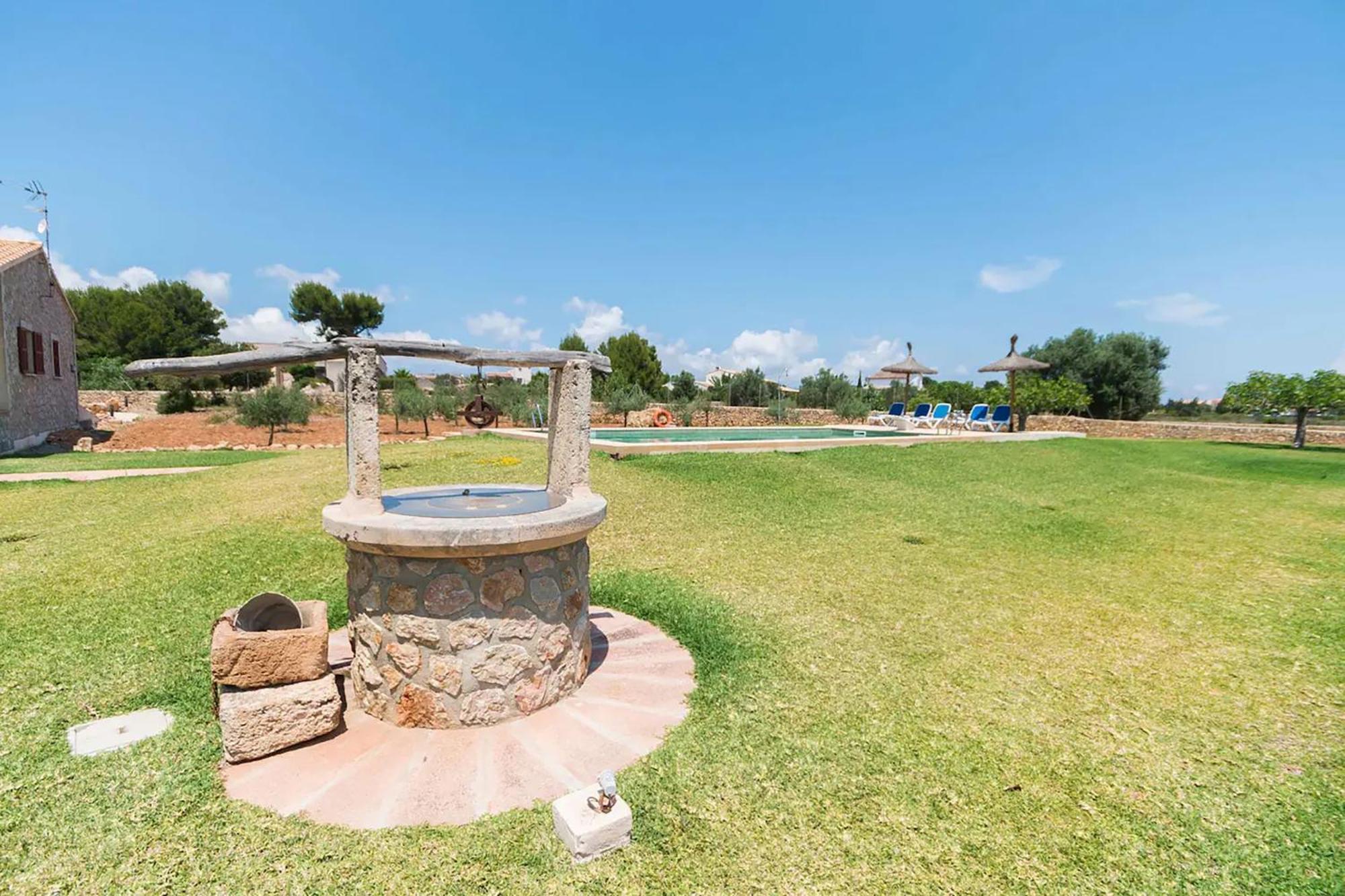 Mosca, Garden And Swimming Pool Close To Villa Alcudia (Mallorca)