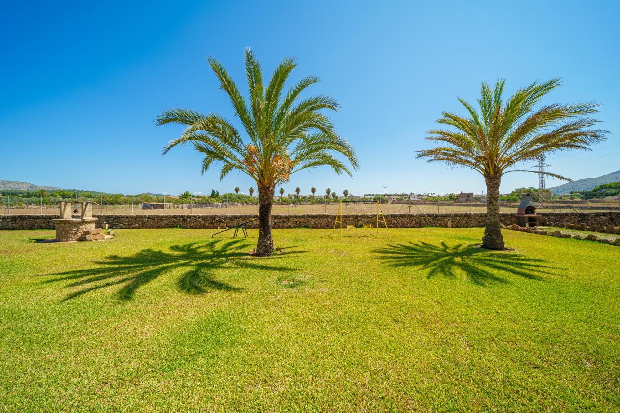 Mosca, Garden And Swimming Pool Close To Villa Alcudia (Mallorca)