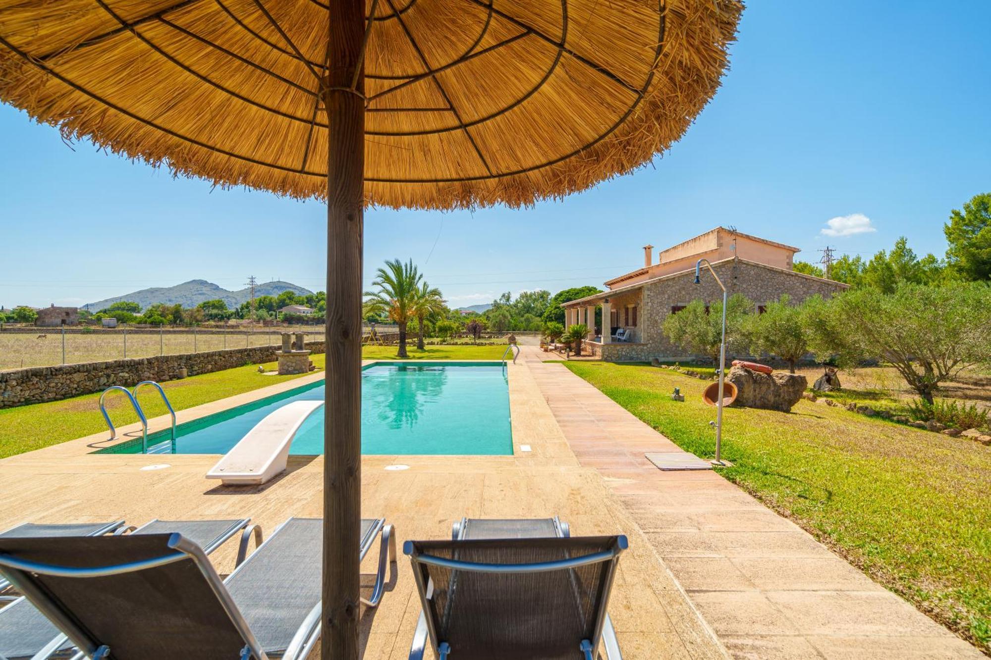 Mosca, Garden And Swimming Pool Close To Villa Alcudia (Mallorca)