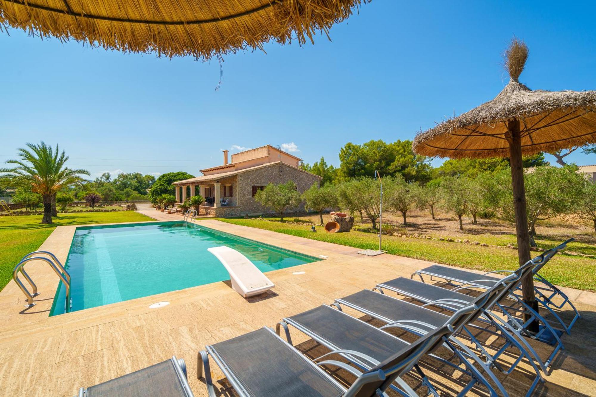 Mosca, Garden And Swimming Pool Close To Villa *