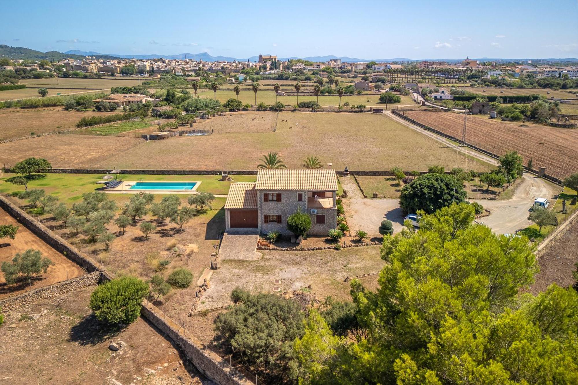 Mosca, Garden And Swimming Pool Close To Alcudia (Mallorca)